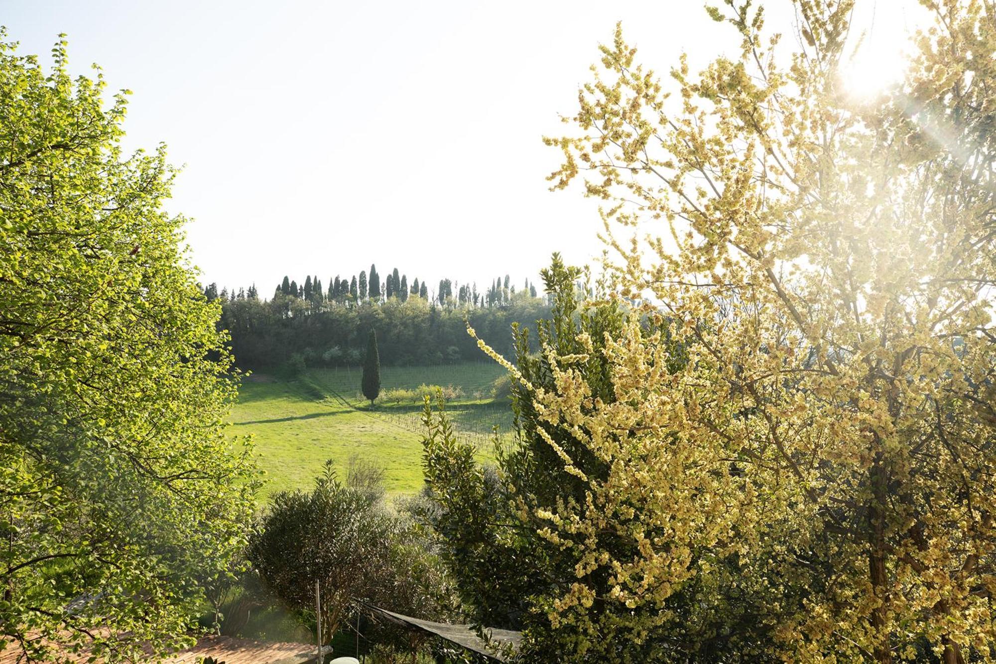 Relais La Rocca Solferino Bed & Breakfast Екстериор снимка