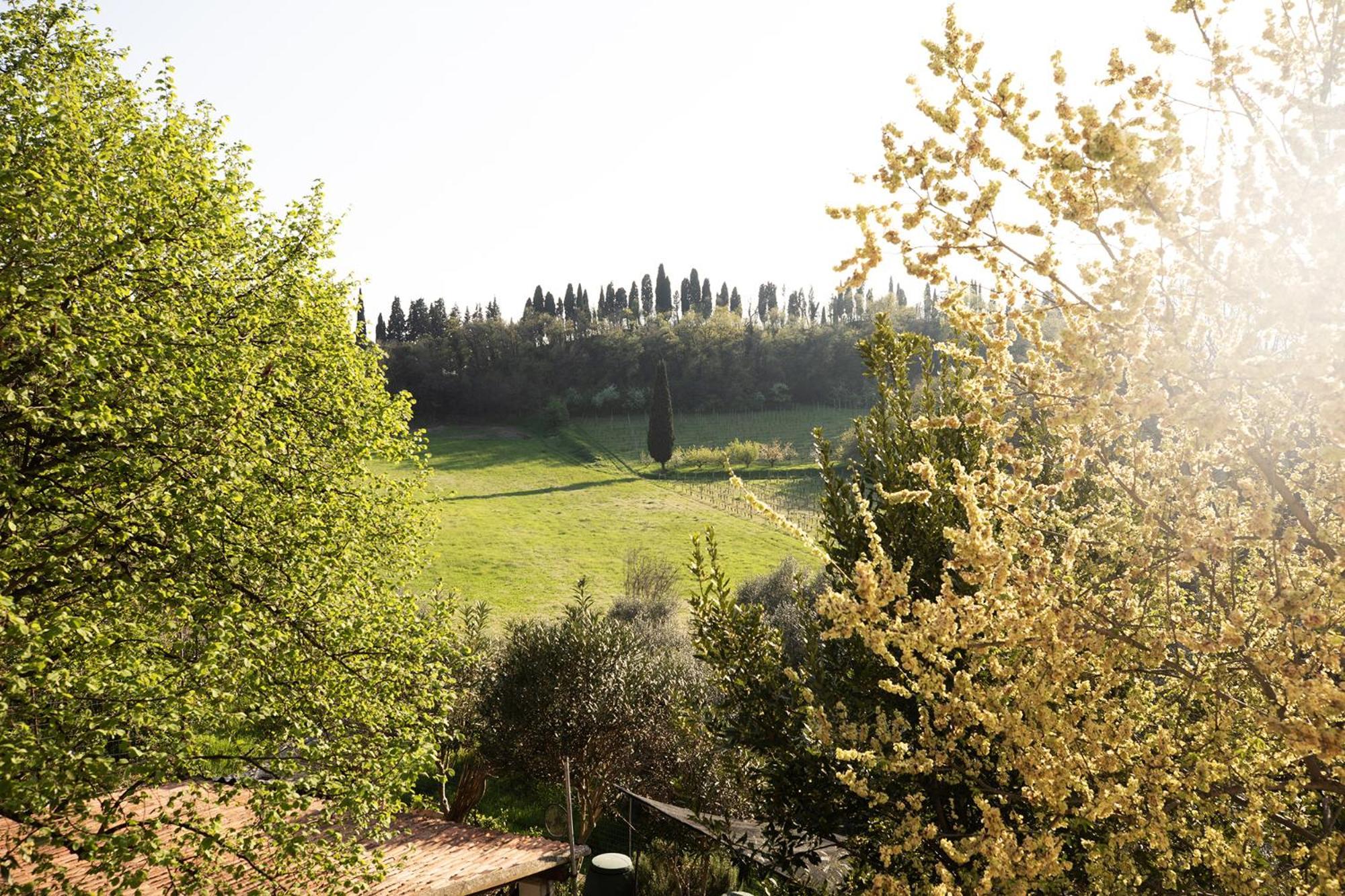 Relais La Rocca Solferino Bed & Breakfast Екстериор снимка